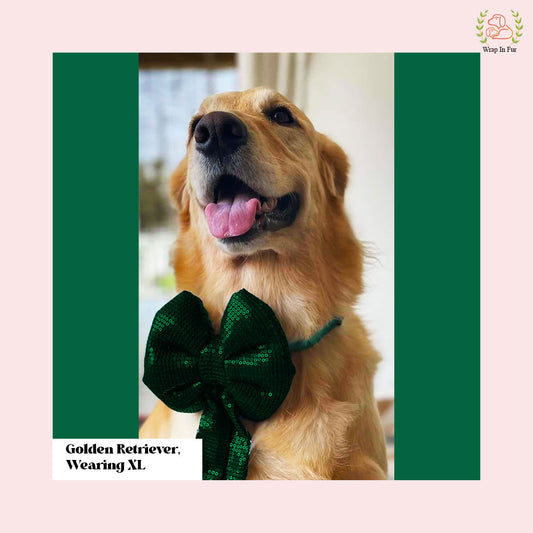 Golden retriever green bling dog bow