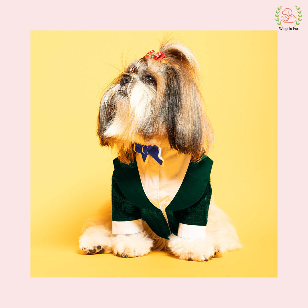 Green Tuxedos for dogs