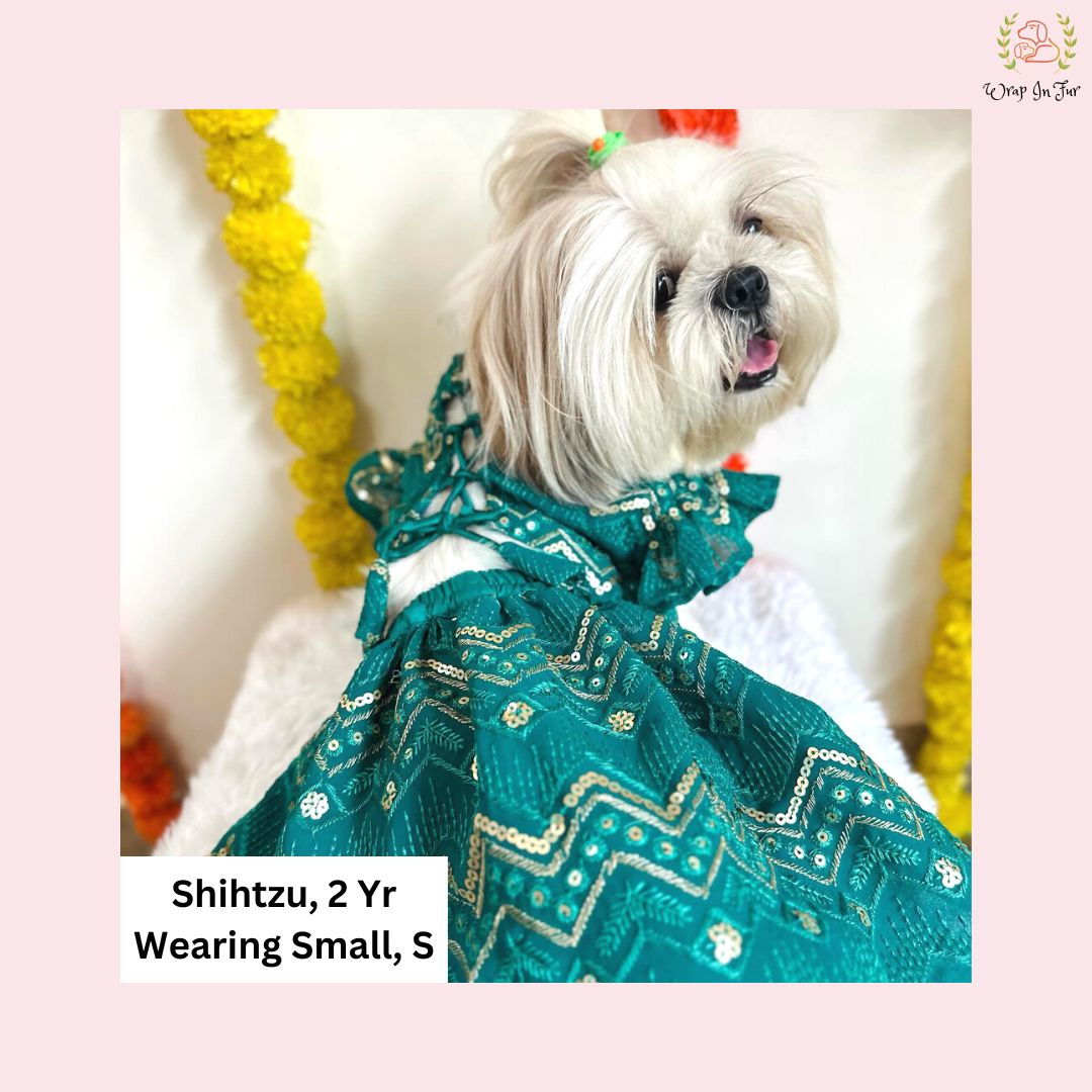 green golden dog lehenga