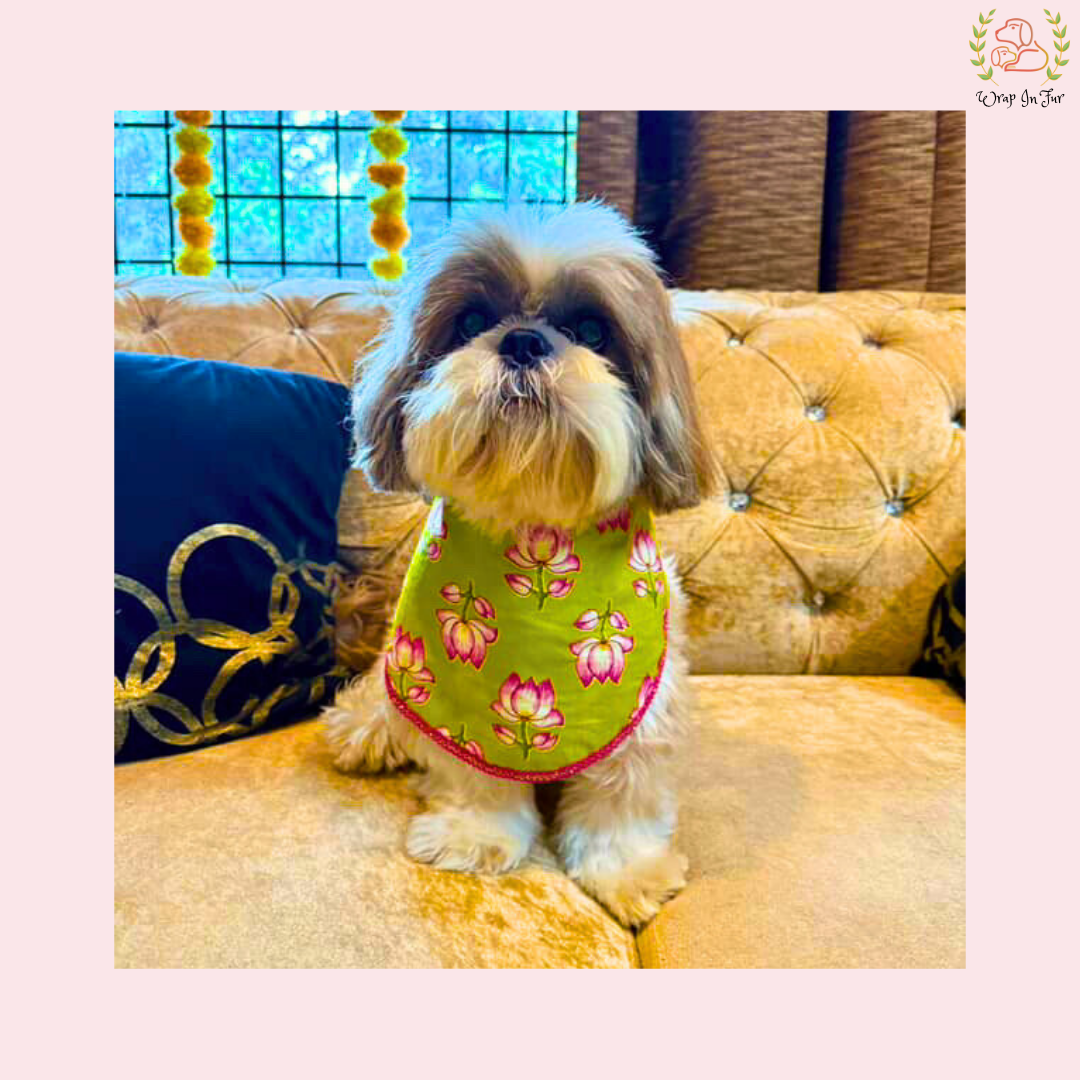 Green Lotus Desi Dog Bandana