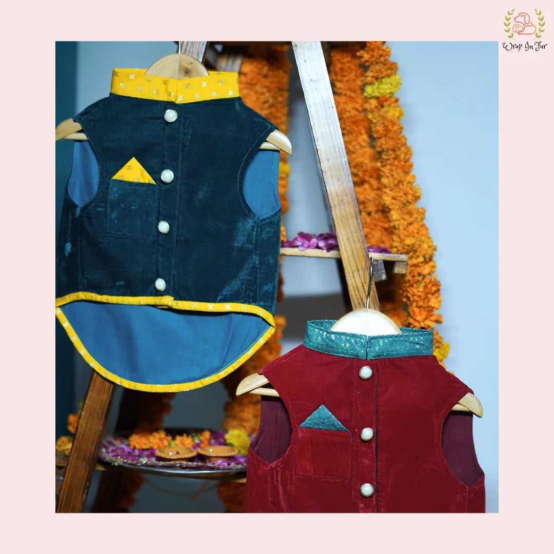 Buy Festive Jacket for dog in India