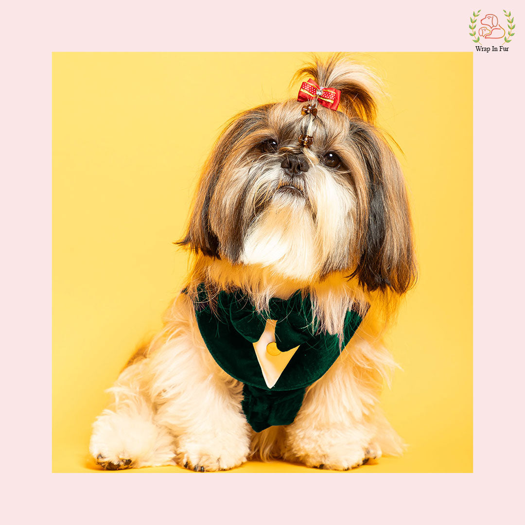 Green Velvet Small Dog Tuxedo