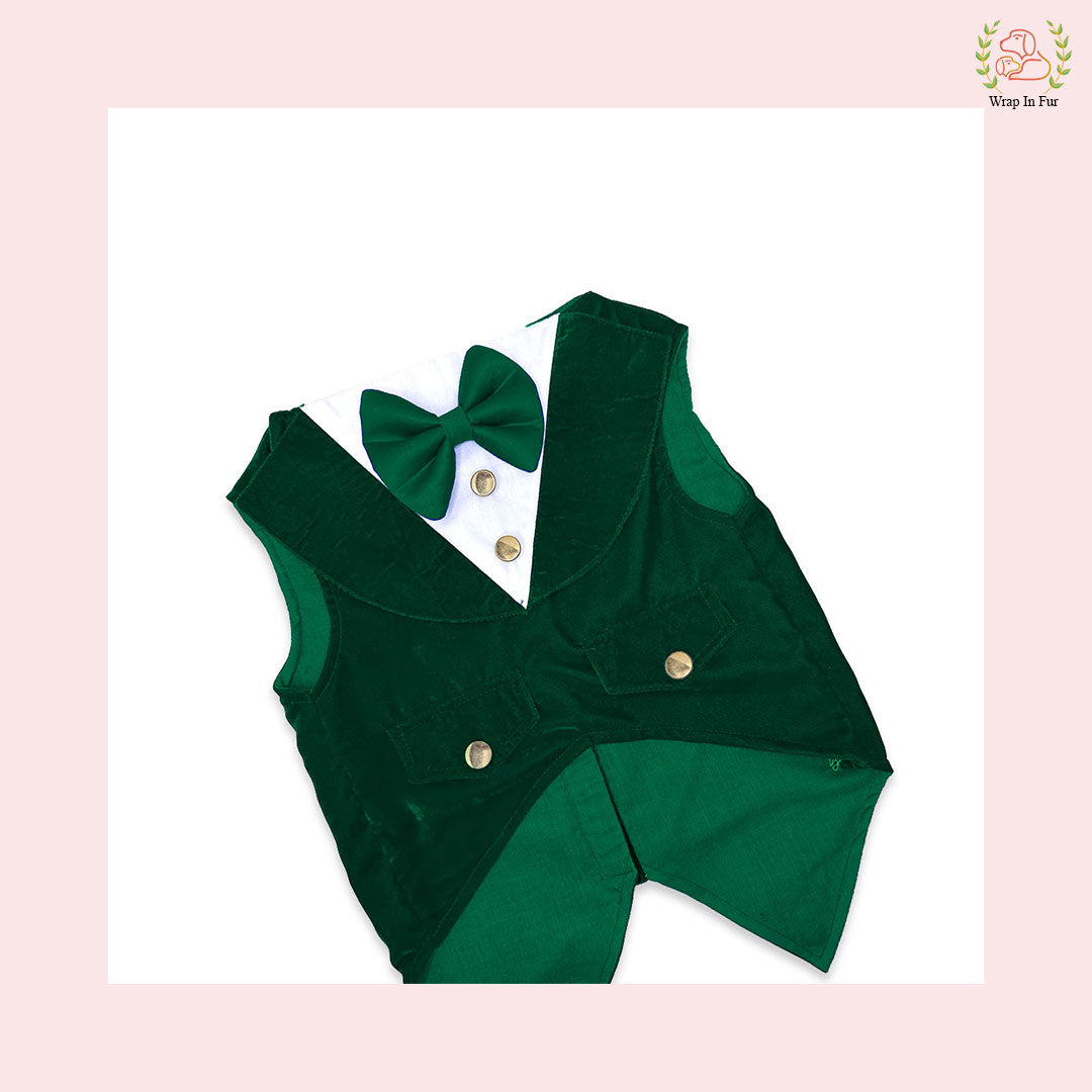 Green Velvet tuxedo for dog