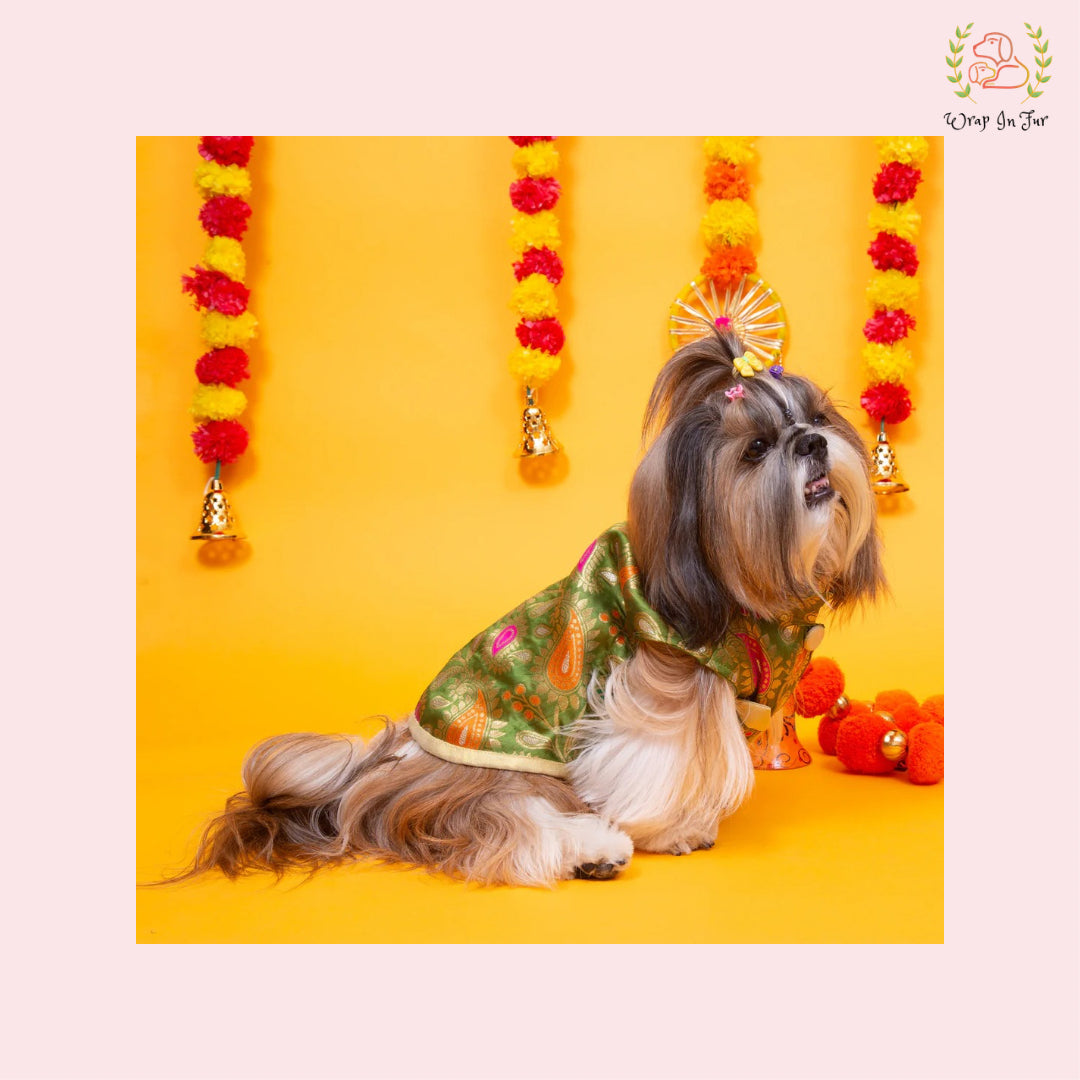 Green Patakha Wedding Dog Sherwani – Premium Ethnic Wear for Weddings & Celebrations