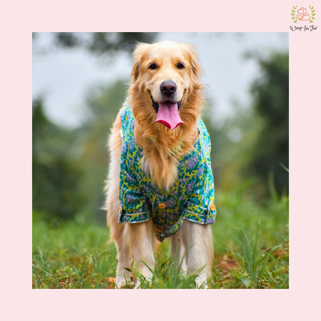 Green & Purple Floral Dog Kurta - Traditional Indian Dog Ethnic Wear Dress