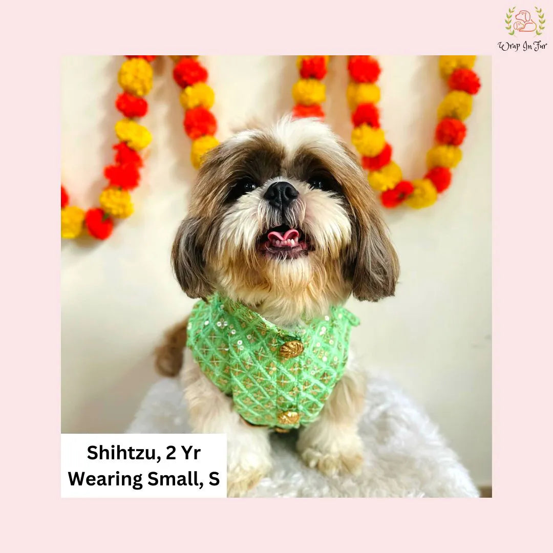 Festive Green Golden Dog Sherwani online