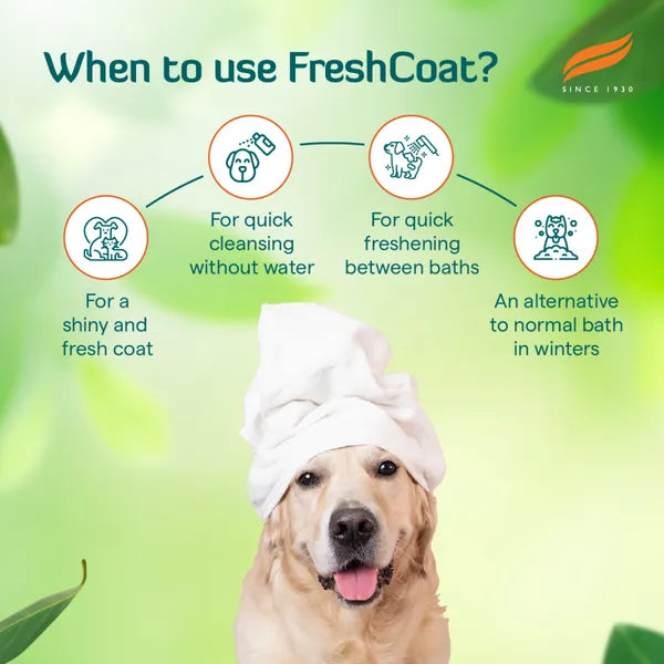 FreshCoat