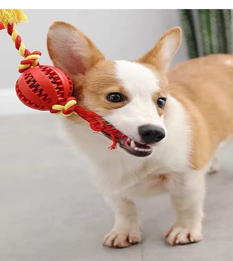 Interactive Rubber Rope Ball Dog Toy with Treat Dispenser