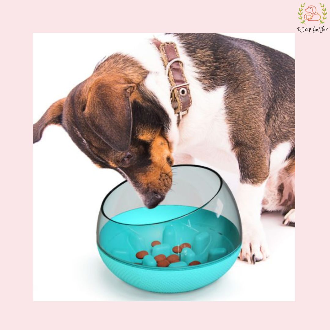 Interactive Slow Feeder Bowl Food Feeder Bowl