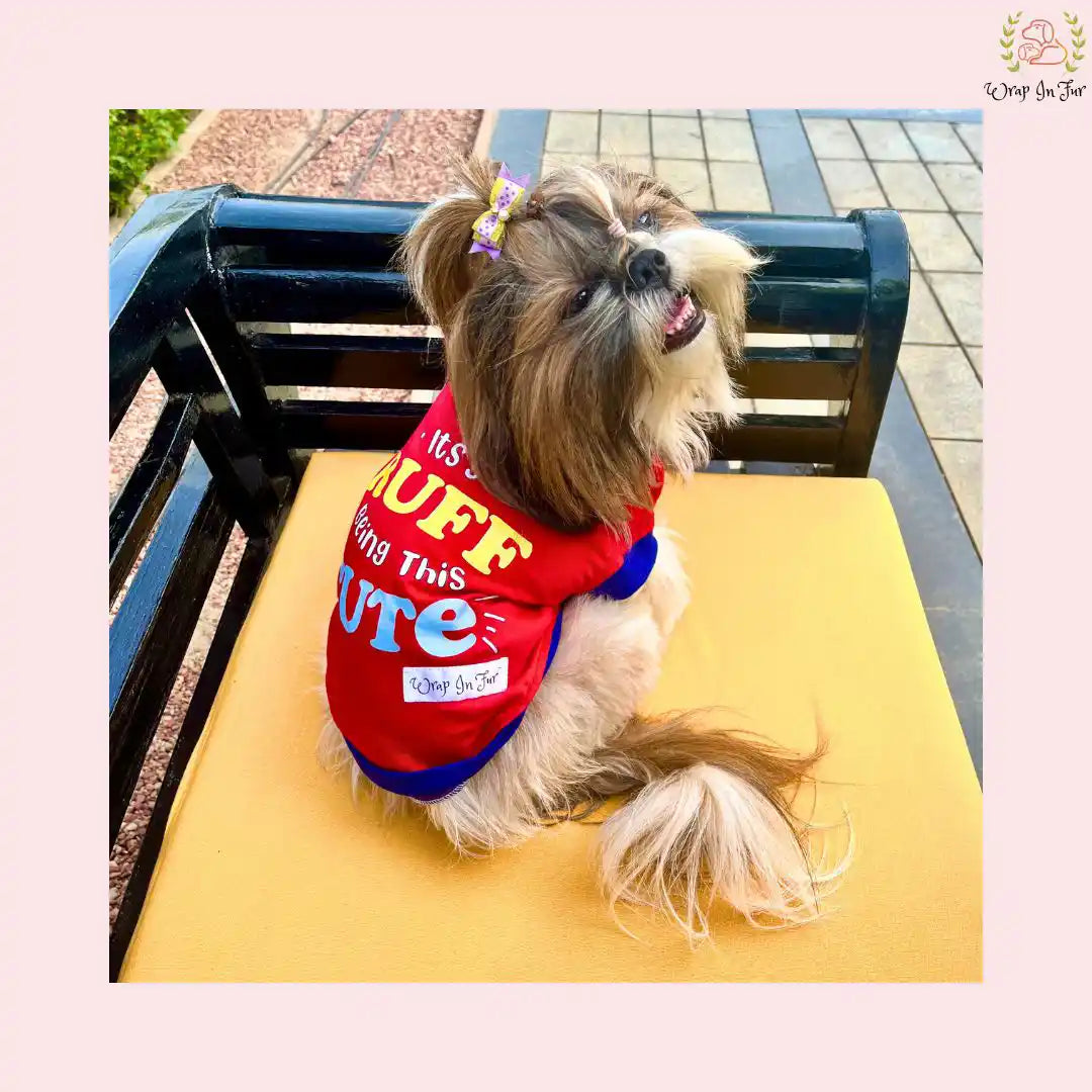 It's Ruff Being This Cute T-Shirt for shih tzu