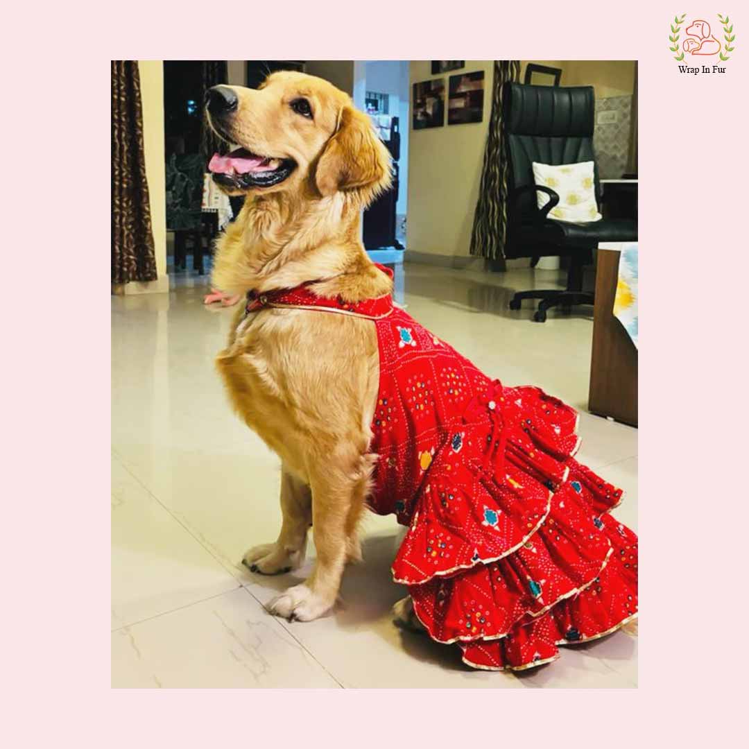 Red Bandhini Frock