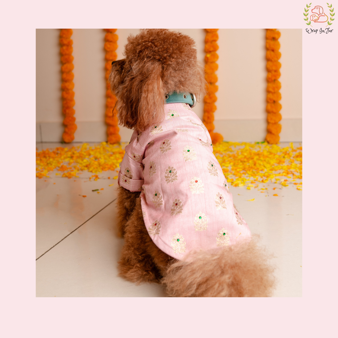 Light pink dog kurta for wedding