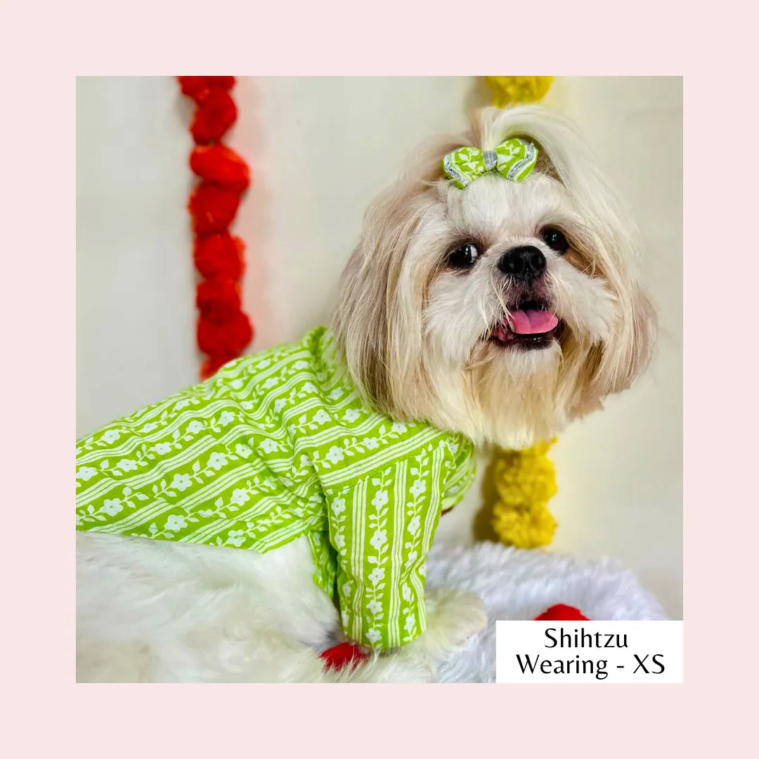 Lime Green Floral Dog Kurta - Traditional Indian Dog Ethnic Wear