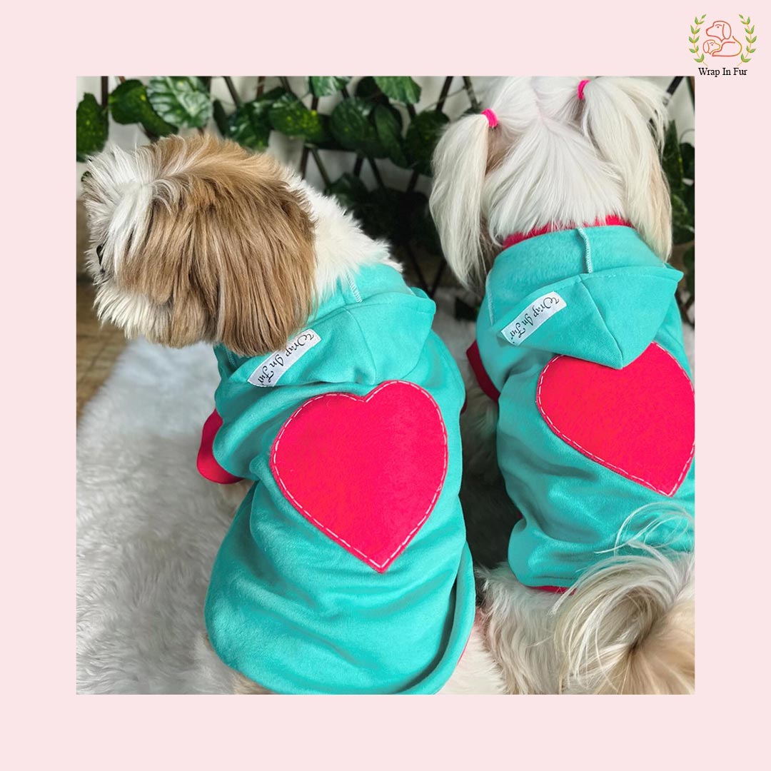 Love Sweatshirt for dog