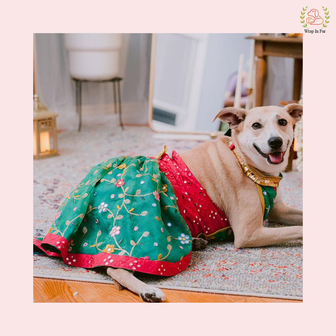 brown dog dress Meera Chiffon Gown in Brown Antelope Spot Black main image 0