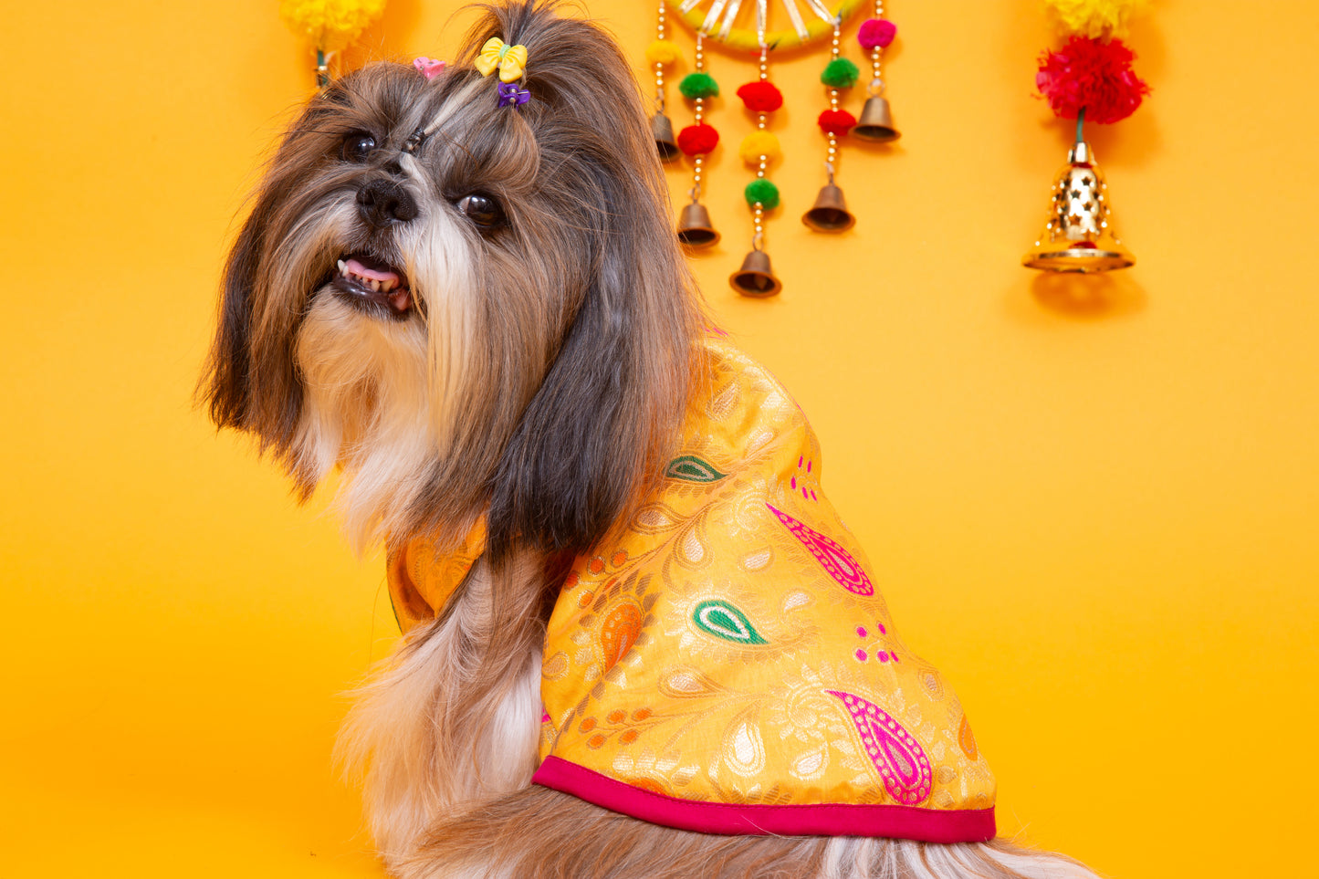 Yellow Patakha Dog Sherwani