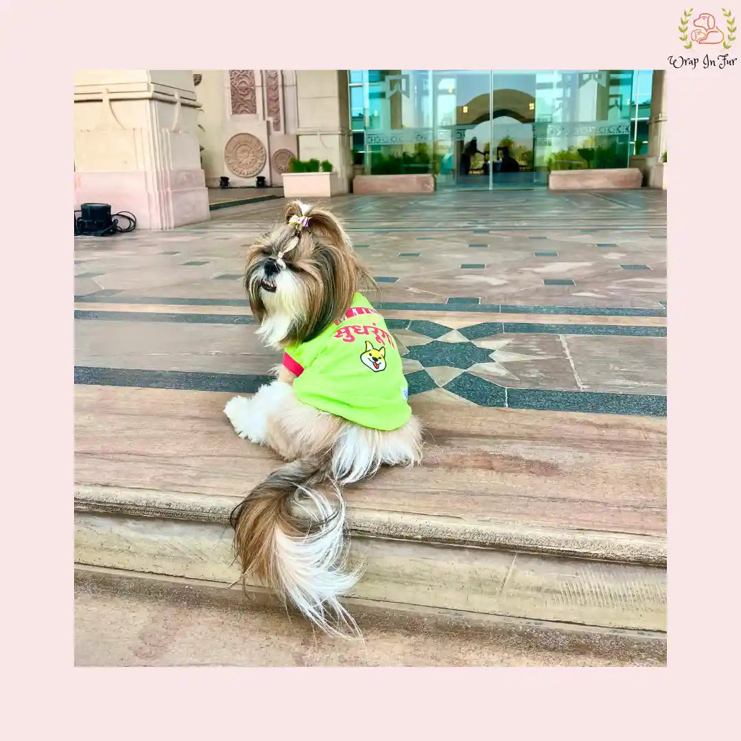 Main Nhi Shudhrunga Dog T-Shirt