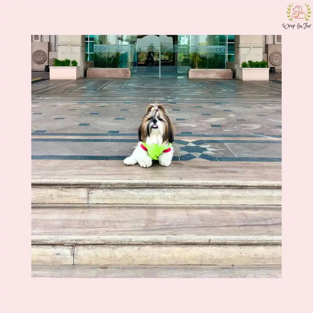 Main Nhi Shudhrunga tshirt for dog