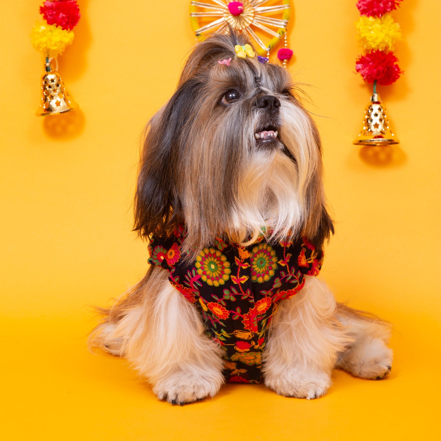 Midnight Blue Phoolwari Dog Sherwani - Royal Dog Wedding Outfit