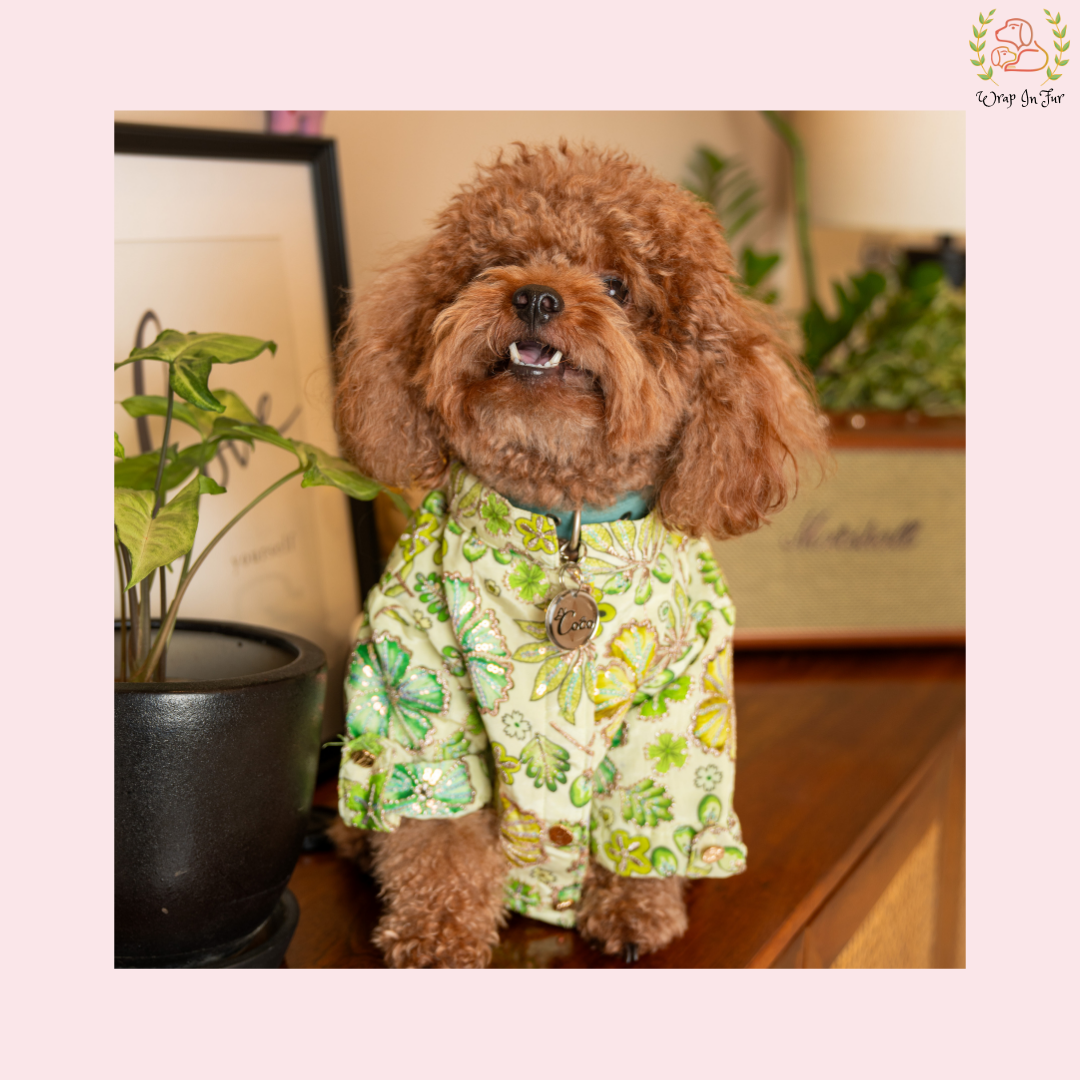 Minty Floral Dog Kurta - Royal Indian Dog Ethnic Wear Dress