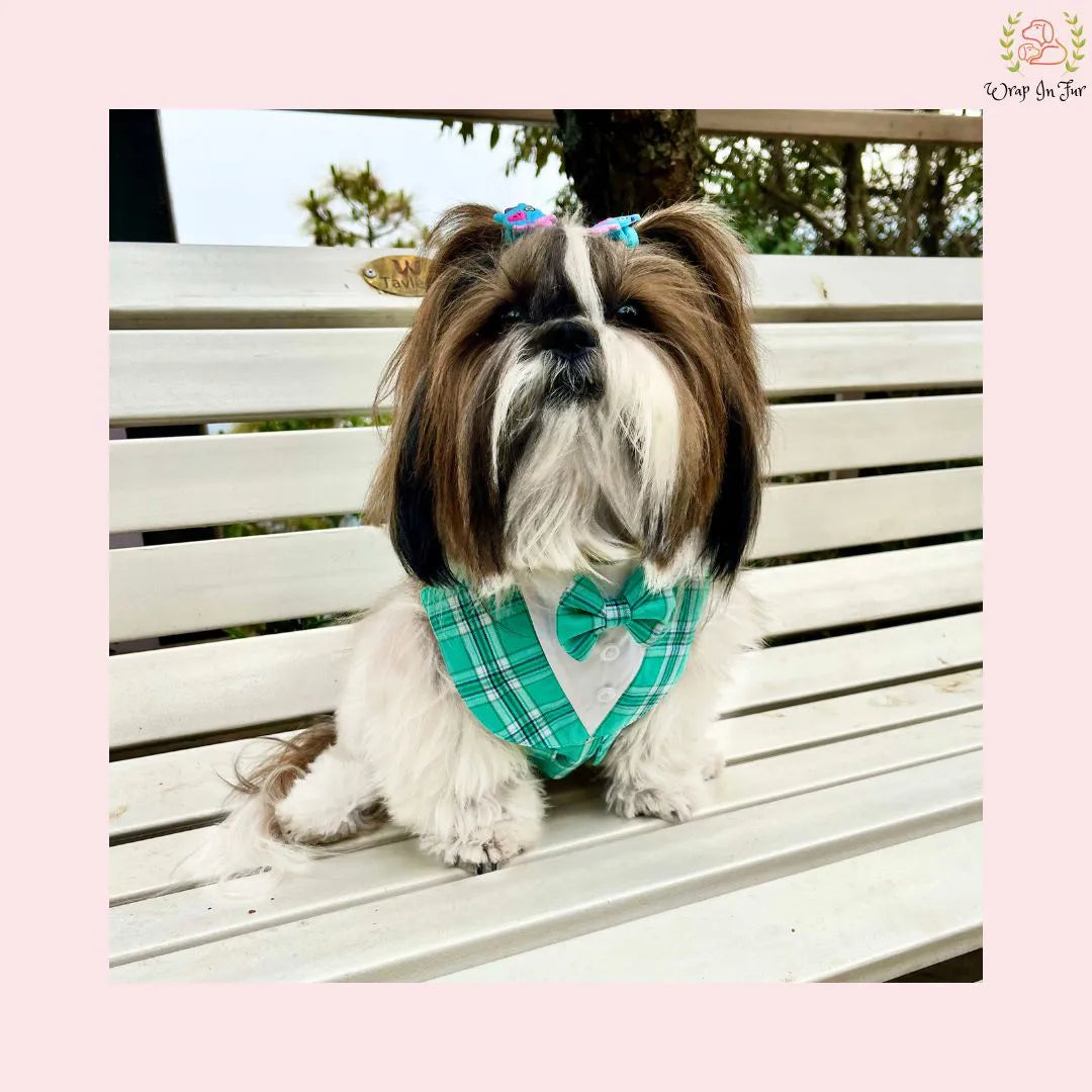 Modern Sky Blue Plaid Dog Tuxedo Vest - Formal Wedding Suit