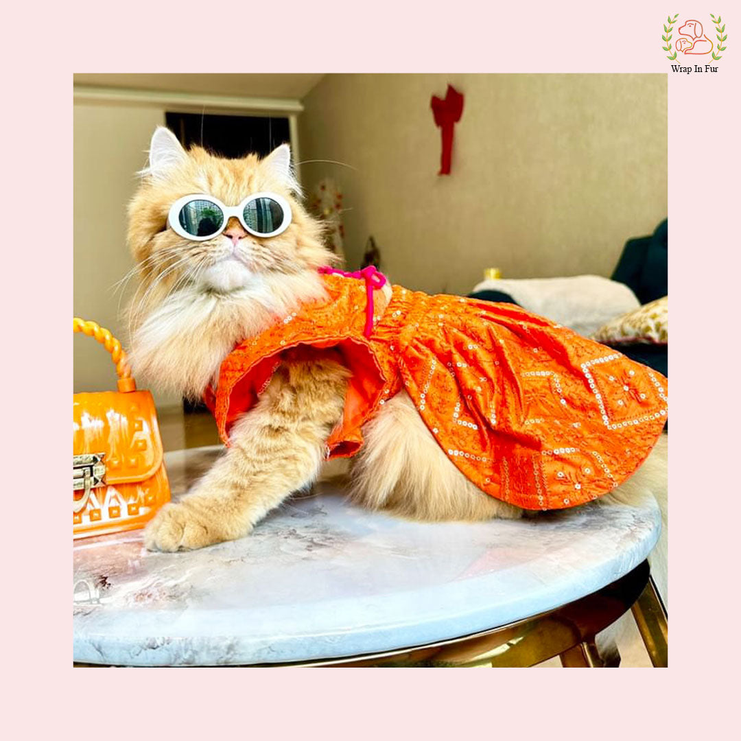 Orange Pink Cat Lehenga