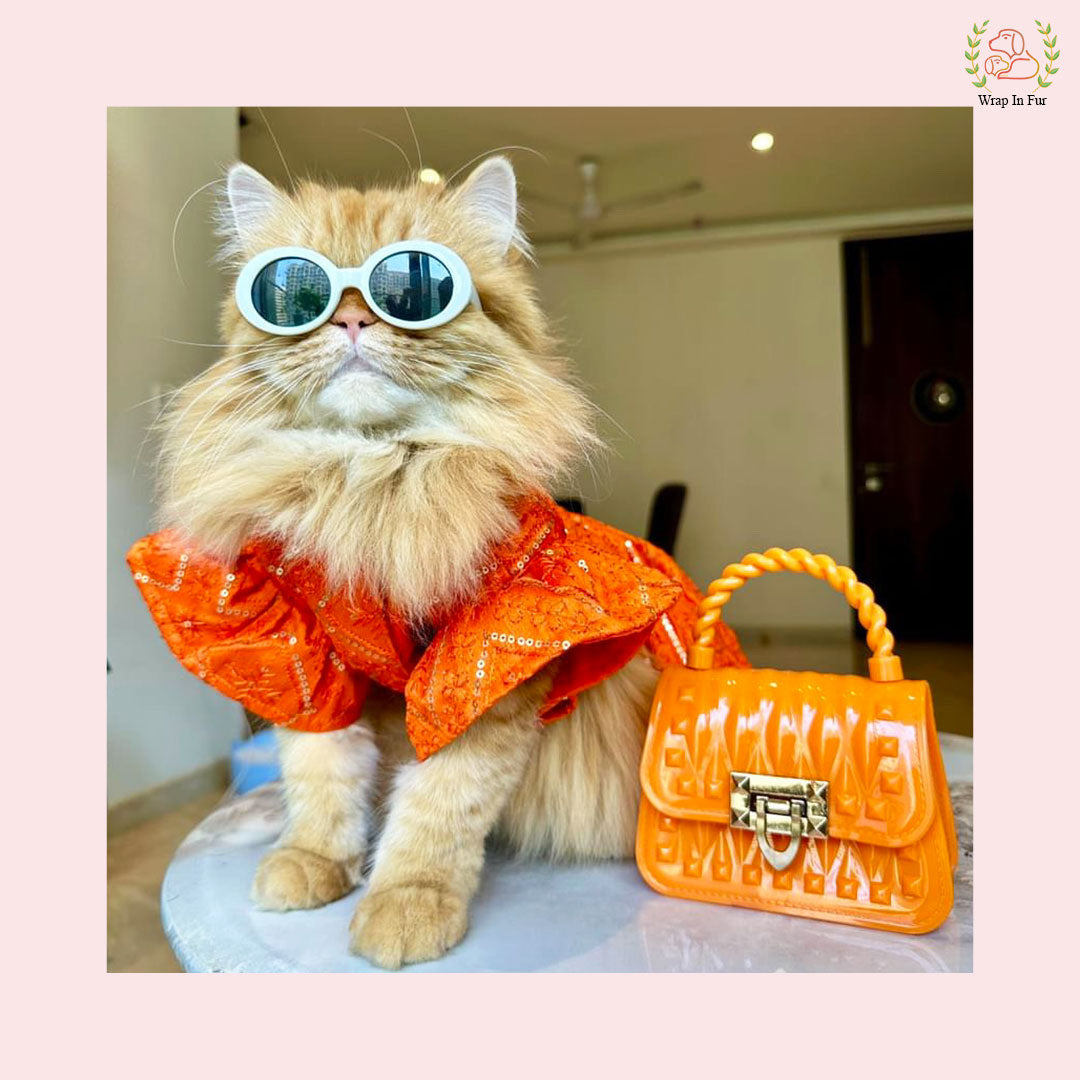 Orange Pink Lehenga for cat