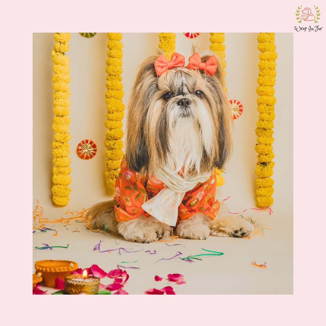 Orange Floral Dog Kurta With Dupatta
