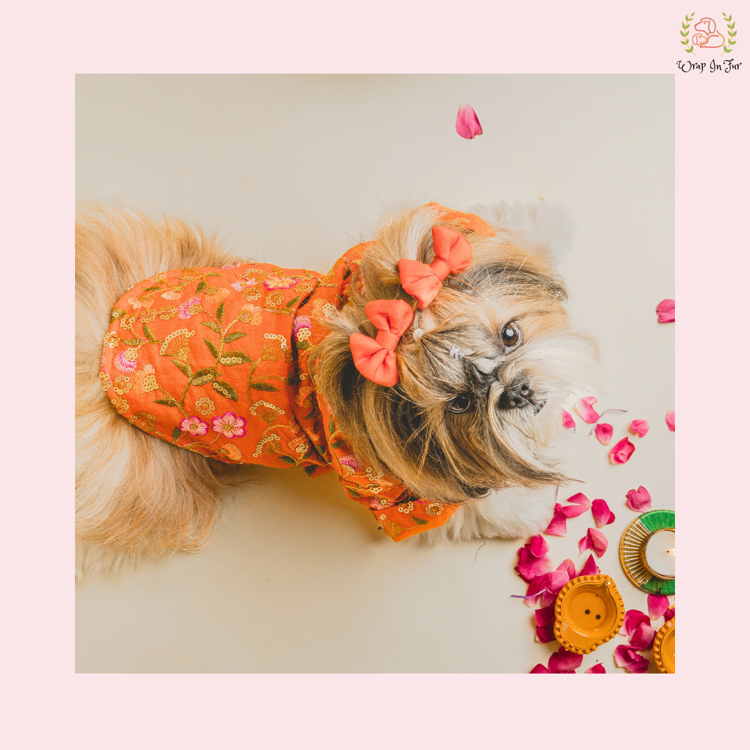 Orange Floral Dog Kurta With Dupatta