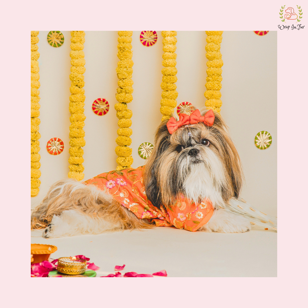 Orange Floral Dog Kurta With Dupatta