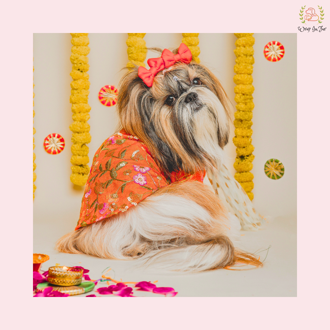 Orange Floral Dog Kurta With Dupatta