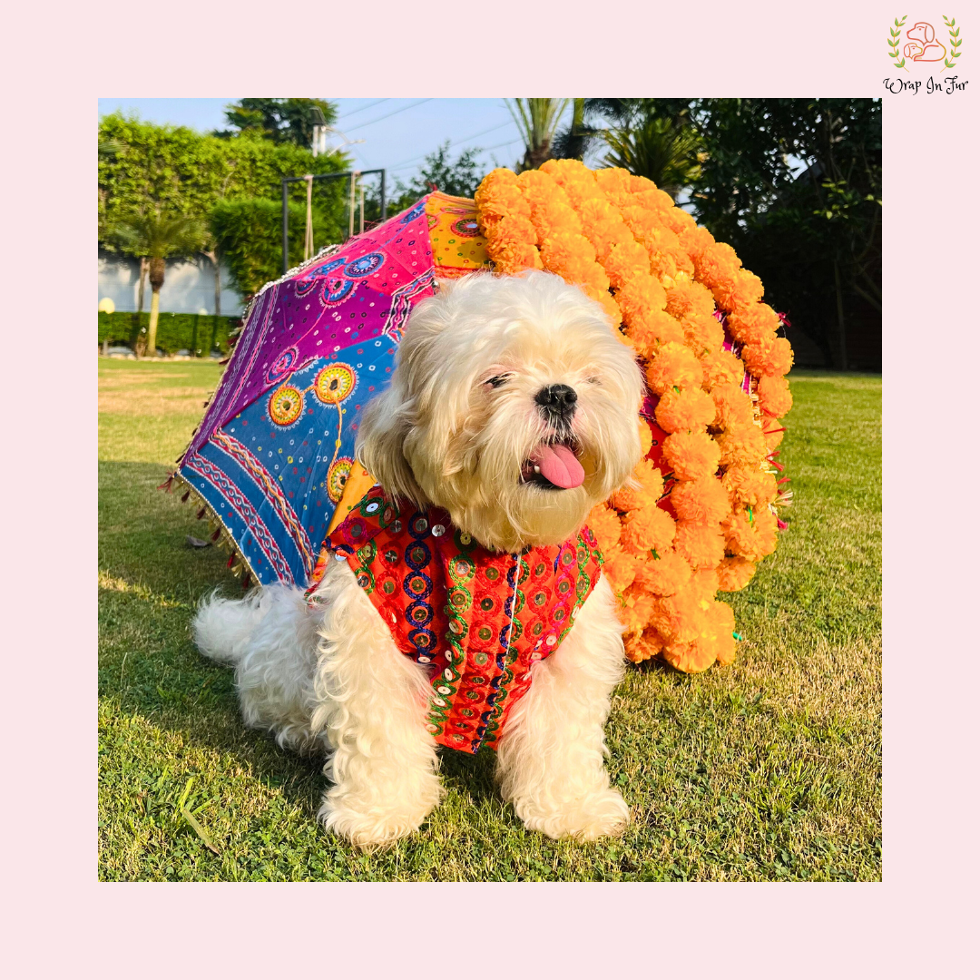 Orange Multicolor Jacket