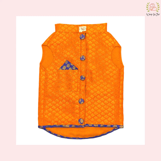 Orange blue dog sherwani for wedding