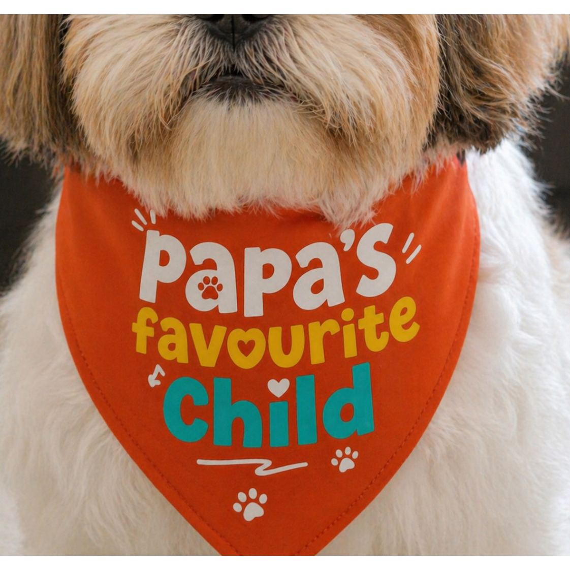 Papa Favourite Child Dog Bandana