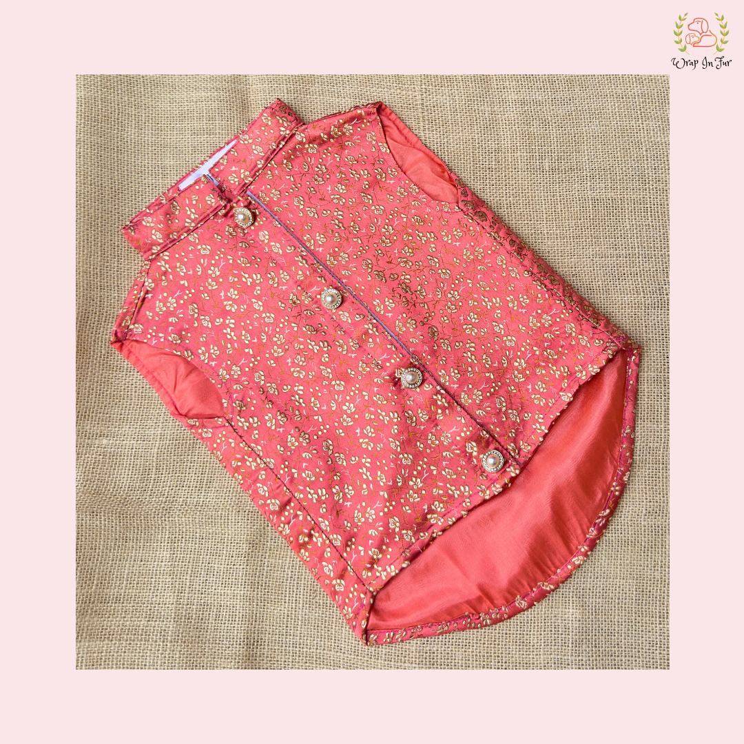 dog sherwani india