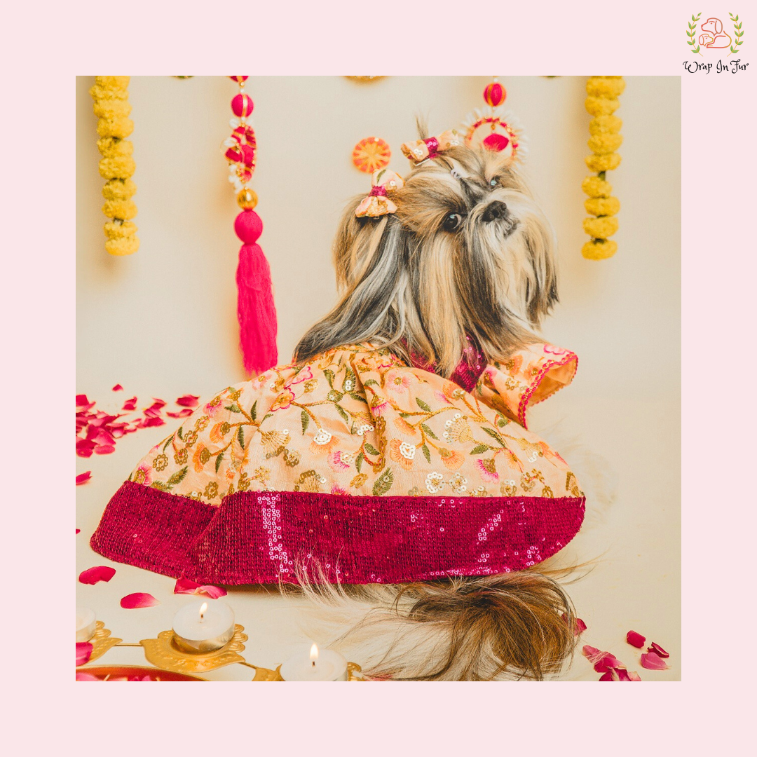 Peach Pink Dog Wedding Dress – Embroidered Bridal Lehenga for Dogs