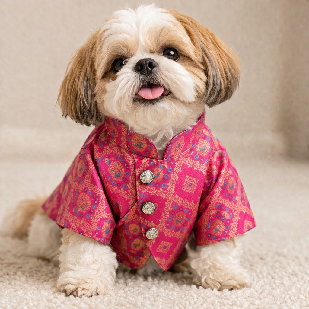 Pink Bandgala Dog Sherwani