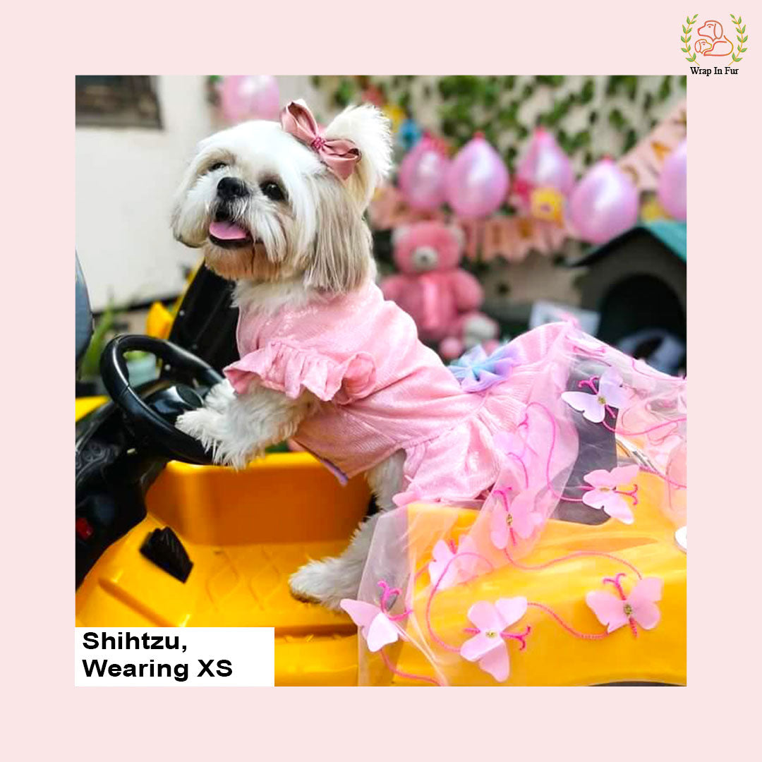 buy Pink Fairy birthday Gown for dog online