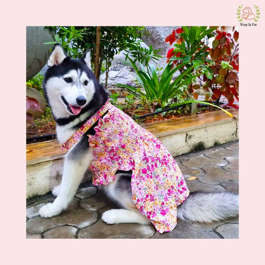 pink floral dog frock