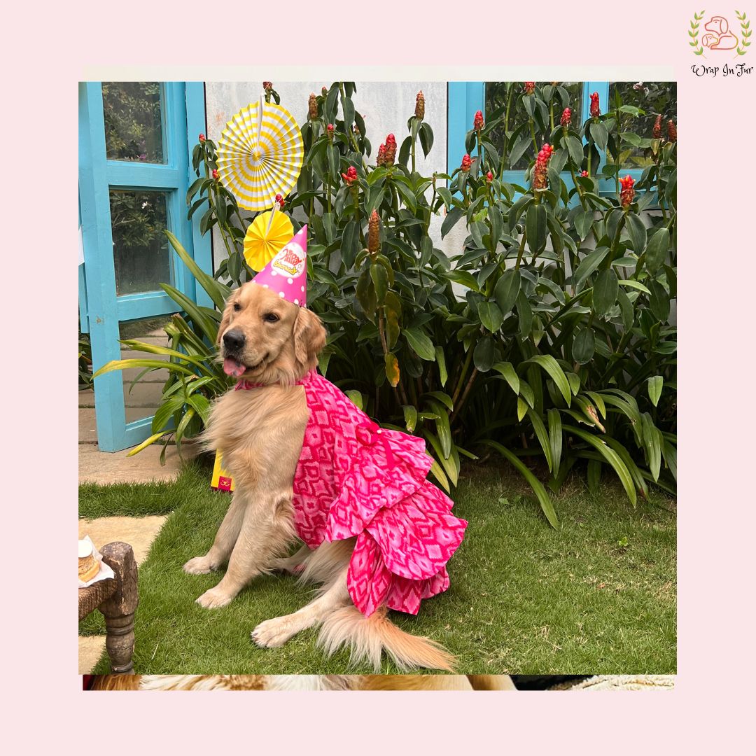 Birthday pink paradise dog frock
