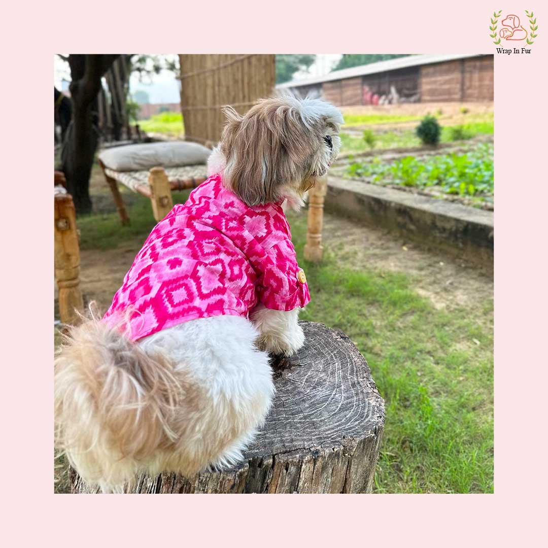 Pink Paradise Kurta for dogs