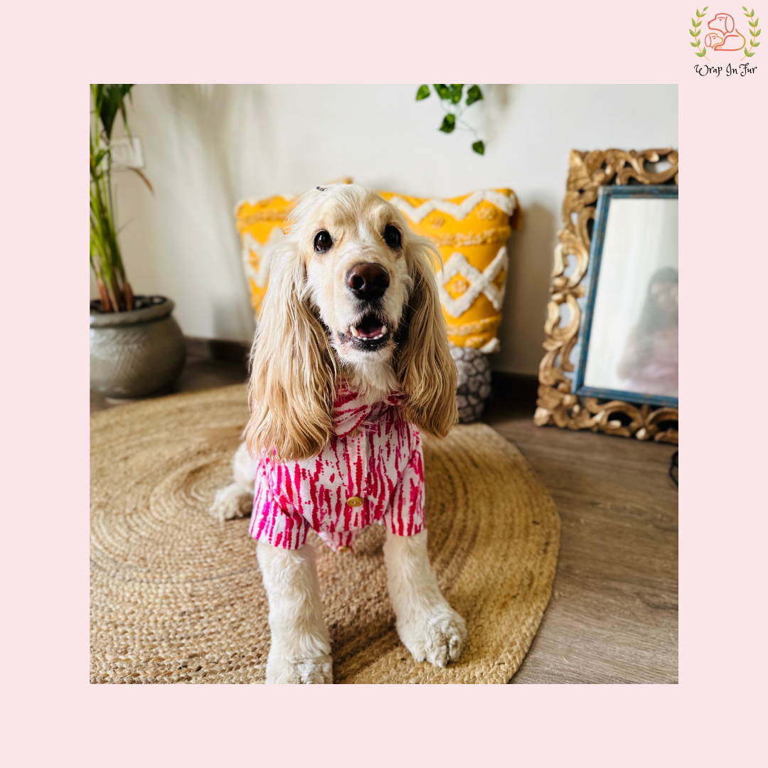 Pink Holi Dog Kurta - Modern Tie Dye Indian Dog Ethnic Wear Dress