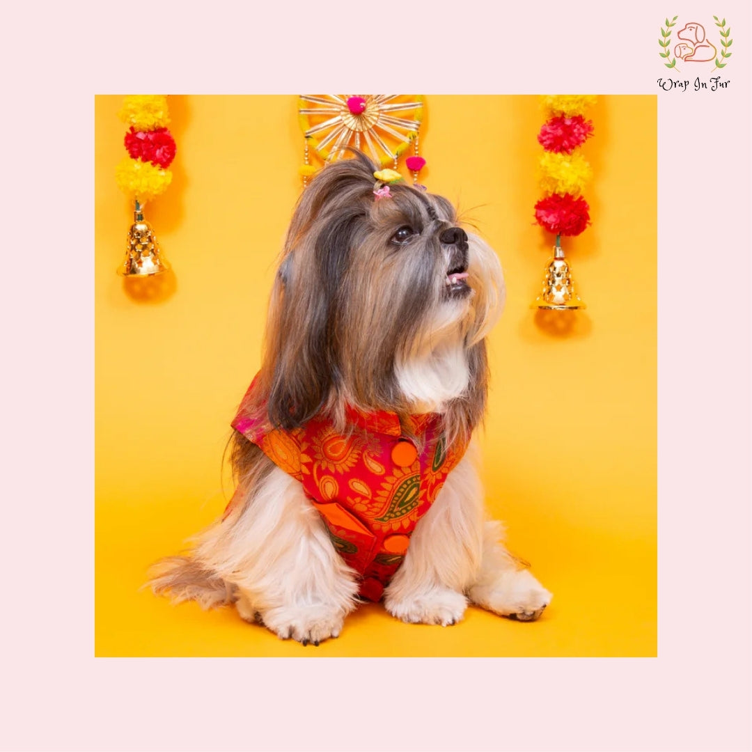 Pink Patakha Wedding Dog Sherwani – Premium Ethnic Wear for Weddings & Celebrations