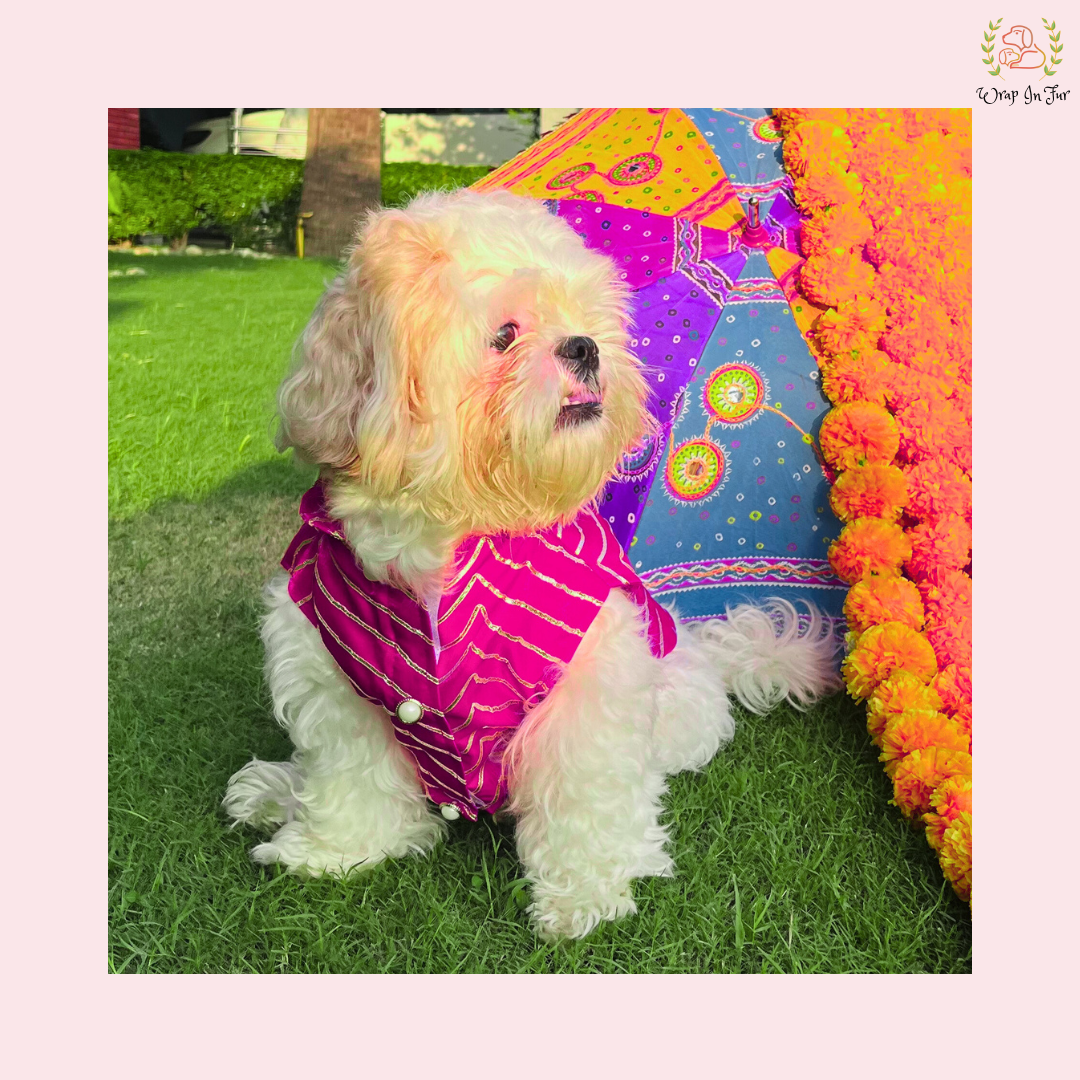 Pink Golden Sherwani