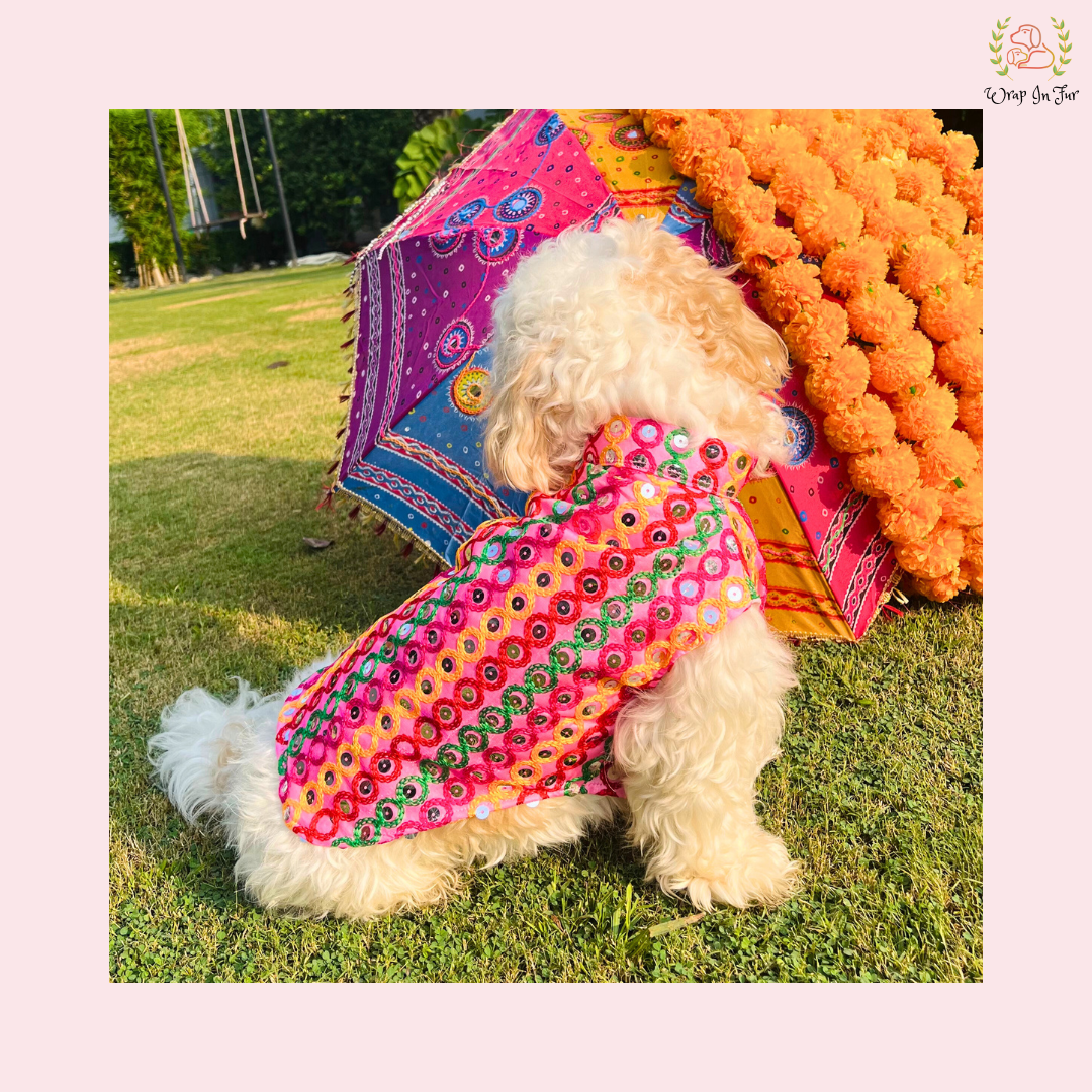 Pink Multicolor Jacket