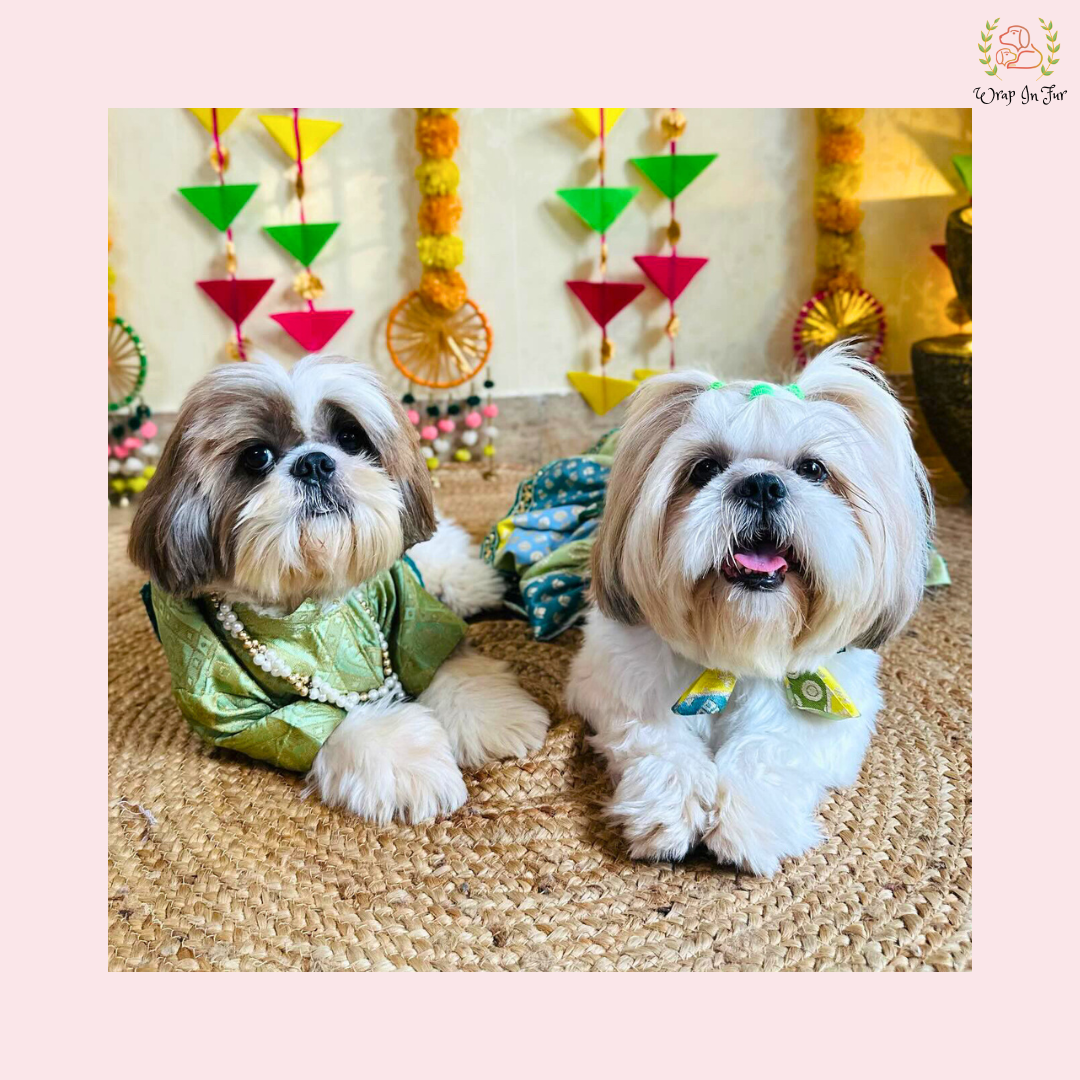 Green Flair Dog Frock