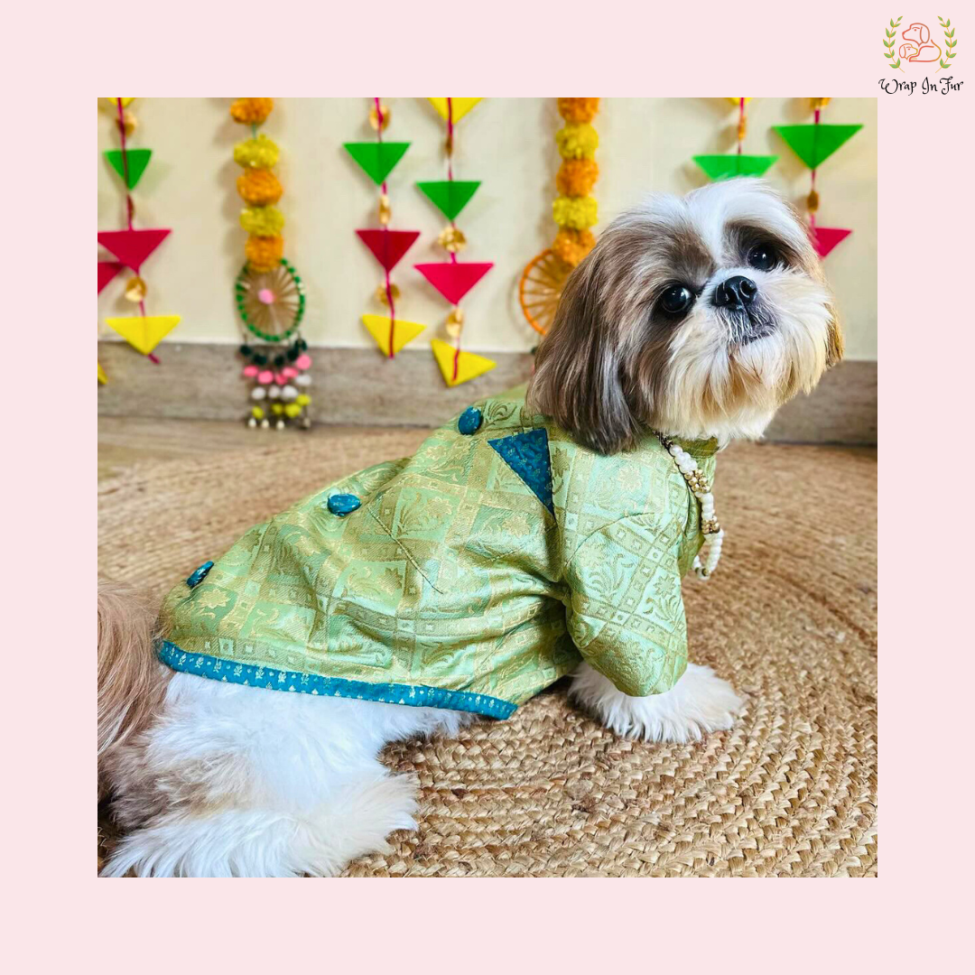 Buy Wrapinfur Red Green Dog Sherwani at 999 XXS/CAT Buy Wrapinfur Red Green Dog Sherwani at 999 XXS/CAT