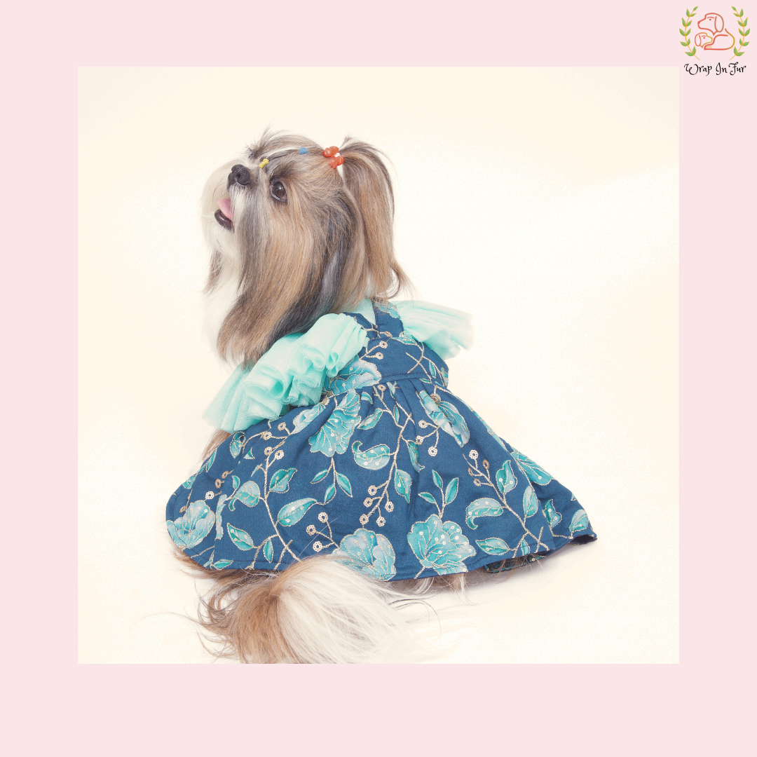 Blue Pari Dog Frock