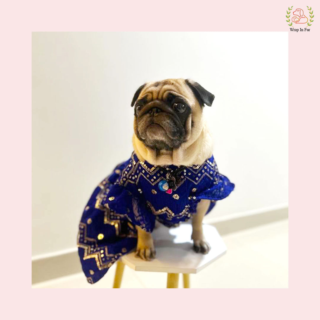 Pug blue dog lehenga choli