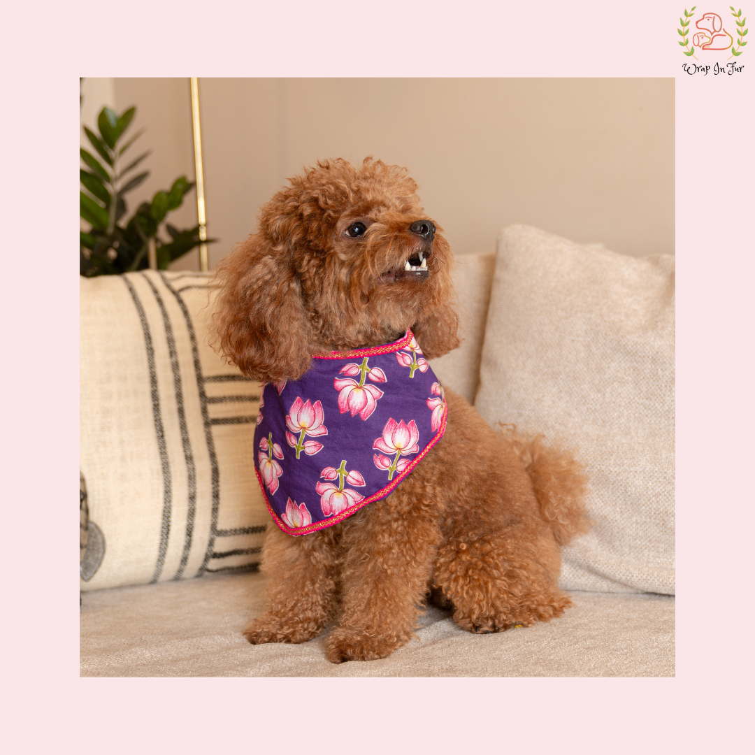 Purple Lotus Desi Dog Bandana